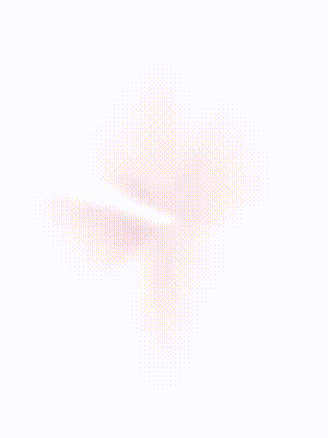 SilicaGroup Animation